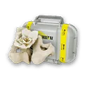 セシュカ製のアシュクセット