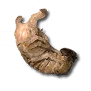 竹林虫のさなぎ