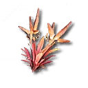 岩アンゲロス葉