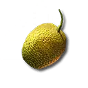 シトロームの種