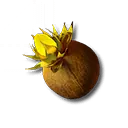 サンドリーフの種