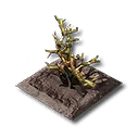 アケトン樹木畑