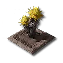 サンドリーフ畑