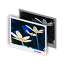 フィルター・クール