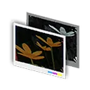 フィルター・ダーク