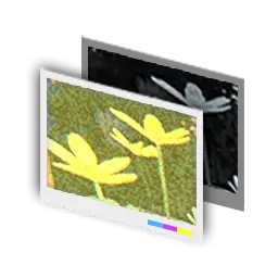 フィルター・ウォーム